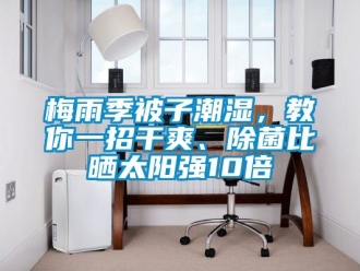 行業手机看片AV短片梅雨季被子潮濕，教你一招幹爽、除菌比曬太陽強10倍