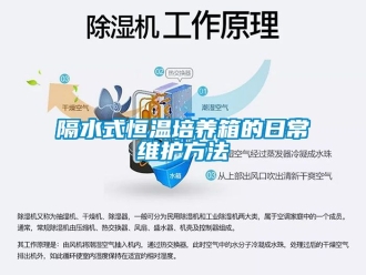 知識百科隔水式恒溫培養箱的日常維護方法