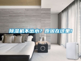 企業手机看片AV短片91看片在线下载機不出水？原因在這裏！