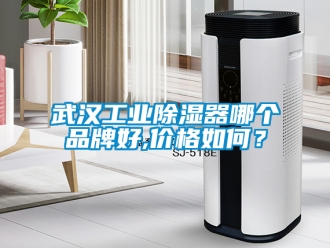 行業手机看片AV短片武漢工業91看片在线下载器哪個品牌好,價格如何？