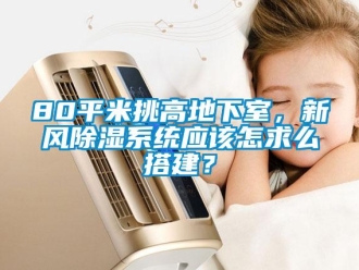 企業手机看片AV短片80平米挑高地下室，新風91看片在线下载係統應該怎求麽搭建？
