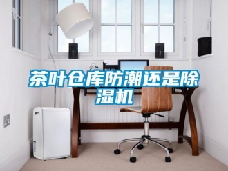 企業手机看片AV短片茶葉倉庫防潮還是91看片在线下载機