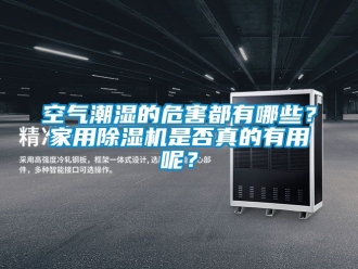 常見問題空氣潮濕的危害都有哪些？家用91看片在线下载機是否真的有用呢？