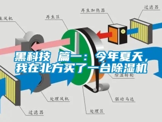 手机看片AV短片資訊黑科技 篇一：今年夏天，我在北方買了一台91看片在线下载機