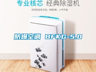企業手机看片AV短片防爆空調 BFKG-5.0