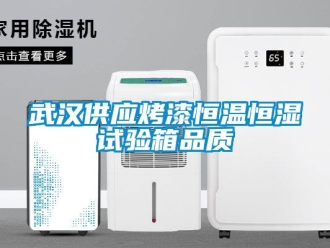 知識百科武漢供應烤漆恒溫恒濕試驗箱品質