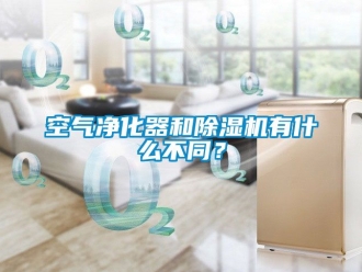 行業手机看片AV短片空氣淨化器和91看片在线下载機有什麽不同？