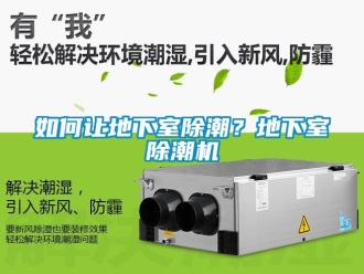 常見問題如何讓地下室除潮？地下室除潮機