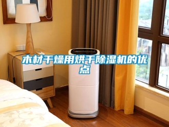 行業手机看片AV短片木材幹燥用烘幹91看片在线下载機的優點