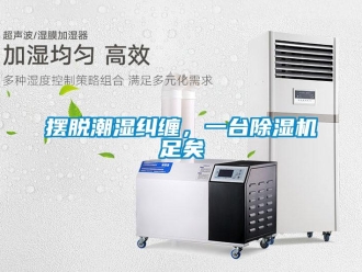 常見問題擺脫潮濕糾纏，一台91看片在线下载機足矣