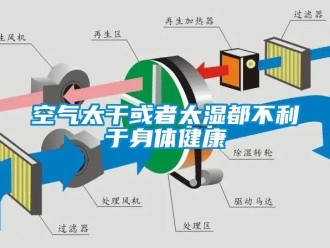 行業手机看片AV短片空氣太幹或者太濕都不利於身體健康