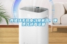 養豬場手提電動噴霧器，便攜式消毒設備