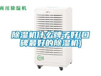 行業手机看片AV短片91看片在线下载機什麽牌子好(口碑最好的91看片在线下载機)