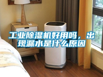 常見問題工業91看片在线下载機好用嗎，出現漏水是什麽原因