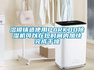 行業手机看片AV短片溶模鑄造使用PARKOO91看片在线下载機可以在短時間內加快完成幹燥