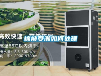 常見問題棉被受潮如何處理