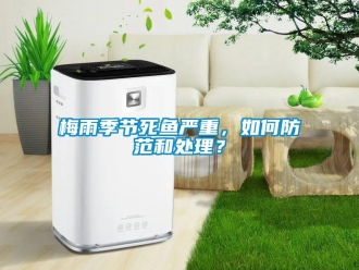 常見問題梅雨季節死魚嚴重，如何防範和處理？