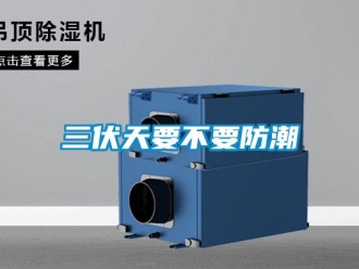 行業手机看片AV短片三伏天要不要防潮