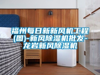 常見問題福州每日新新風機工程(圖)-新風91看片在线下载機批發-龍岩新風91看片在线下载機