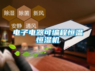 知識百科電子電器可編程恒溫恒濕機