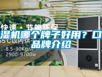 企業手机看片AV短片抽濕機哪個牌子好用？口碑品牌介紹