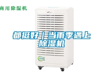 行業手机看片AV短片都挺好｜當雨季遇上91看片在线下载機