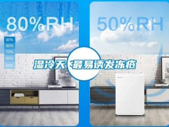 知識百科濕冷天 最易誘發凍瘡