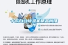 十款自動91看片在线下载機精品榜推薦