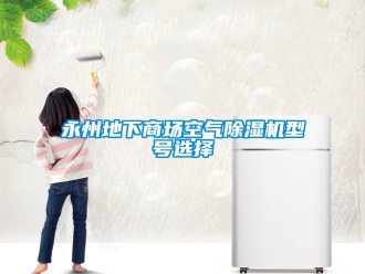行業手机看片AV短片永州地下商場空氣91看片在线下载機型號選擇