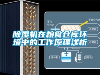 企業手机看片AV短片91看片在线下载機在糧食倉庫環境中的工作原理淺析
