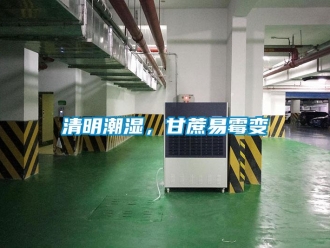 行業手机看片AV短片清明潮濕，甘蔗易黴變