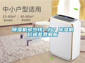 企業手机看片AV短片91看片在线下载機多少錢一台？91看片在线下载機價格差異解析