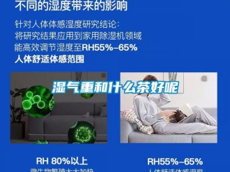 知識百科濕氣重和什麽茶好呢