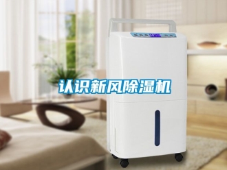 常見問題認識新風91看片在线下载機