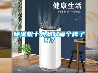 企業手机看片AV短片91看片在线下载機十大品牌哪個牌子好？