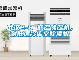 行業手机看片AV短片武漢2-8℃低溫91看片在线下载機，耐低溫冷庫室91看片在线下载機