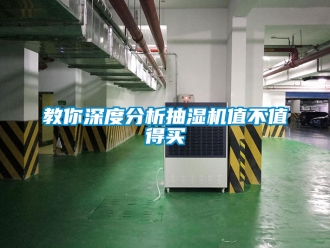 企業手机看片AV短片教你深度分析抽濕機值不值得買