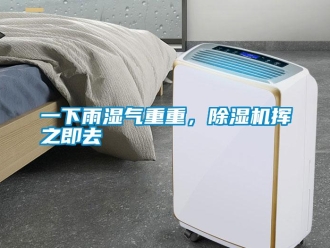 知識百科一下雨濕氣重重，91看片在线下载機揮之即去