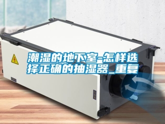 企業手机看片AV短片潮濕的地下室-怎樣選擇正確的抽濕器_重複