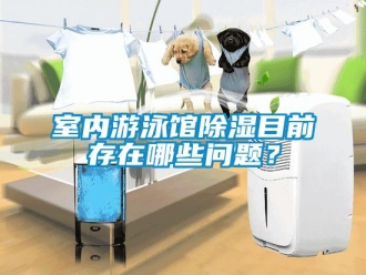 常見問題室內遊泳館91看片在线下载目前存在哪些問題？