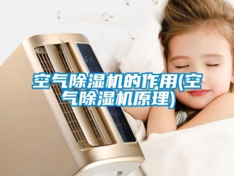 行業手机看片AV短片空氣91看片在线下载機的作用(空氣91看片在线下载機原理)