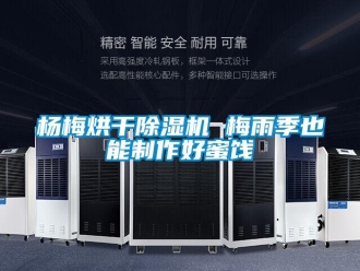 知識百科楊梅烘幹91看片在线下载機 梅雨季也能製作好蜜餞