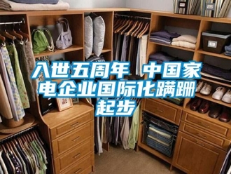 行業手机看片AV短片入世五周年 中國家電企業國際化蹣跚起步