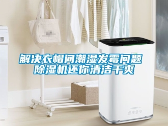 行業手机看片AV短片解決衣帽間潮濕發黴問題 91看片在线下载機還你清潔幹爽