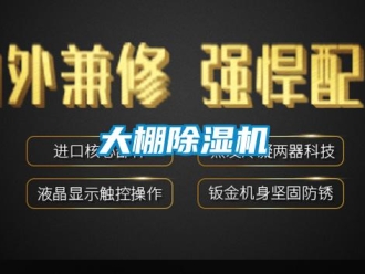 企業手机看片AV短片大棚91看片在线下载機
