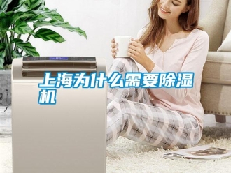 知識百科上海為什麽需要91看片在线下载機