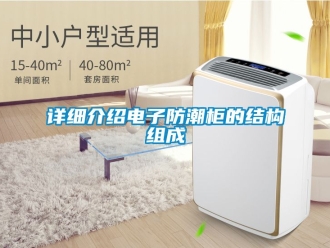 常見問題詳細介紹電子防潮櫃的結構組成