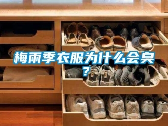 行業手机看片AV短片梅雨季衣服為什麽會臭？