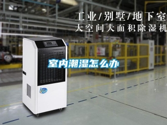 常見問題室內潮濕怎麽辦