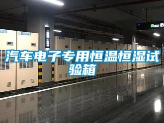 知識百科汽車電子專用恒溫恒濕試驗箱